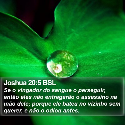 Joshua 20:5 BSL Bible Verse Image