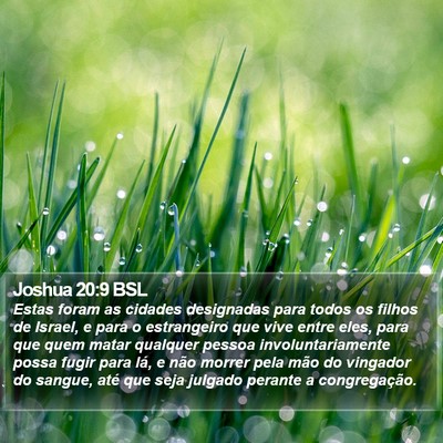 Joshua 20:9 BSL Bible Verse Image