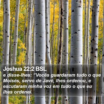 Joshua 22:2 BSL Bible Verse Image