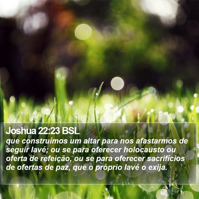 Joshua 22:23 BSL Bible Verse Image
