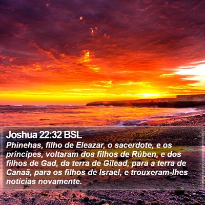 Joshua 22:32 BSL Bible Verse Image