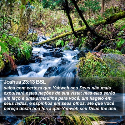 Joshua 23:13 BSL Bible Verse Image