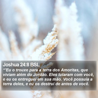 Joshua 24:8 BSL Bible Verse Image