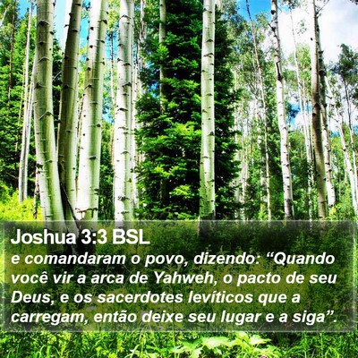 Joshua 3:3 BSL Bible Verse Image