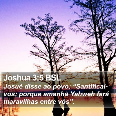 Joshua 3:5 BSL Bible Verse Image