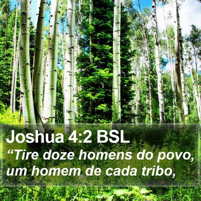 Joshua 4:2 BSL Bible Verse Image