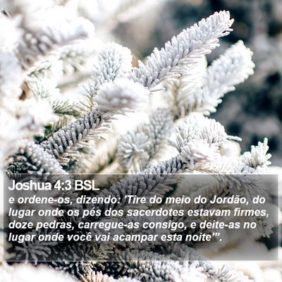 Joshua 4:3 BSL Bible Verse Image