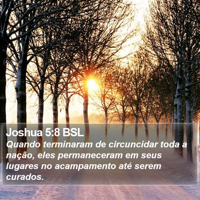 Joshua 5:8 BSL Bible Verse Image