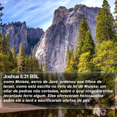 Joshua 8:31 BSL Bible Verse Image