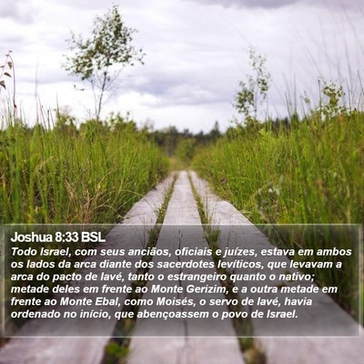 Joshua 8:33 BSL Bible Verse Image