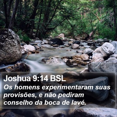 Joshua 9:14 BSL Bible Verse Image