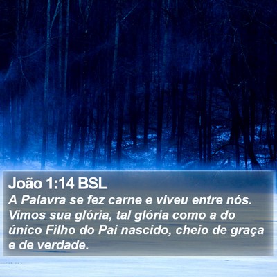 João 1:14 BSL Bible Verse Image