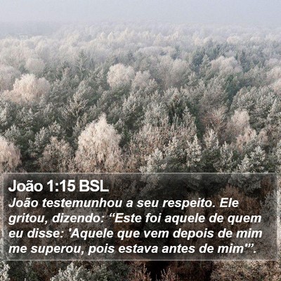 João 1:15 BSL Bible Verse Image
