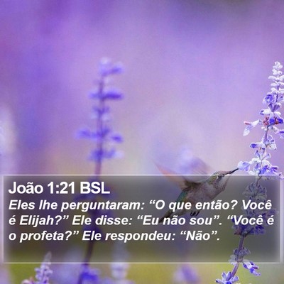 João 1:21 BSL Bible Verse Image