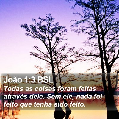 João 1:3 BSL Bible Verse Image