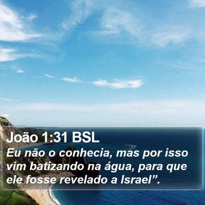João 1:31 BSL Bible Verse Image