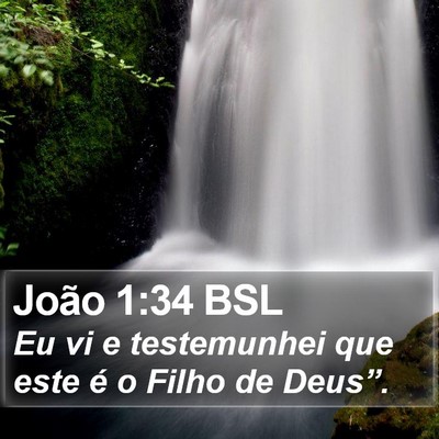 João 1:34 BSL Bible Verse Image
