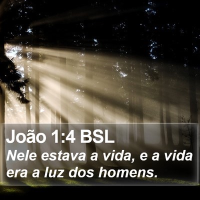 João 1:4 BSL Bible Verse Image