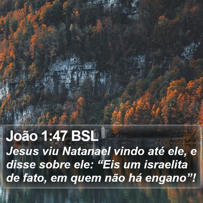 João 1:47 BSL Bible Verse Image