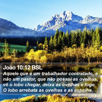 João 10:12 BSL Bible Verse Image