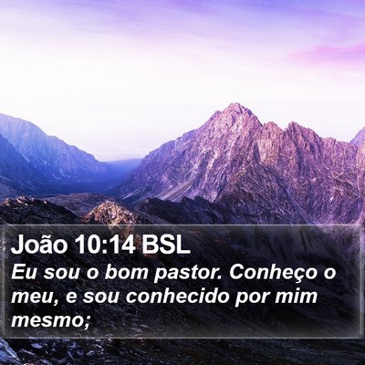 João 10:14 BSL Bible Verse Image