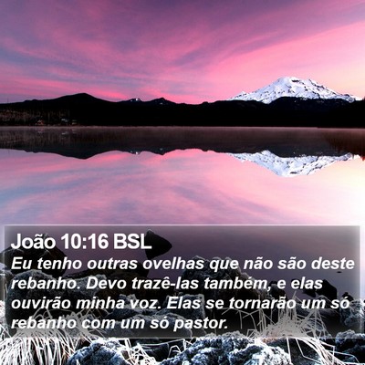 João 10:16 BSL Bible Verse Image