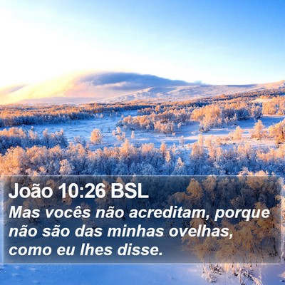 João 10:26 BSL Bible Verse Image