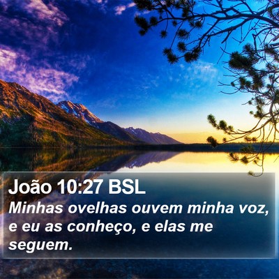 João 10:27 BSL Bible Verse Image