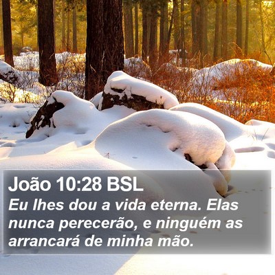 João 10:28 BSL Bible Verse Image