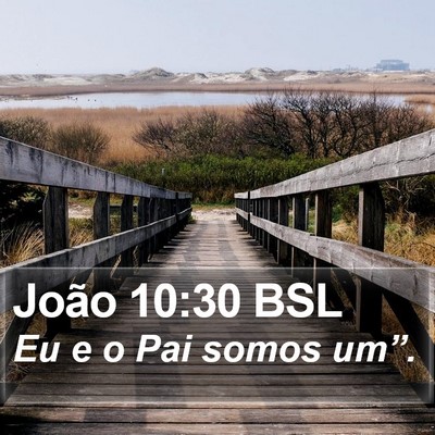 João 10:30 BSL Bible Verse Image