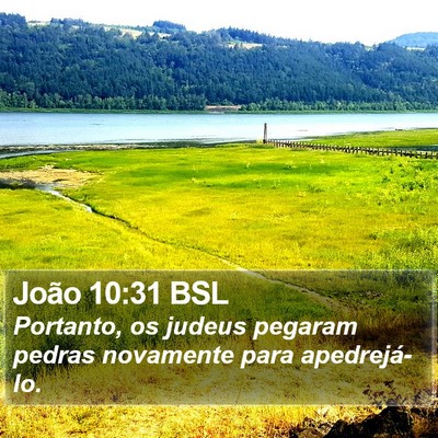 João 10:31 BSL Bible Verse Image