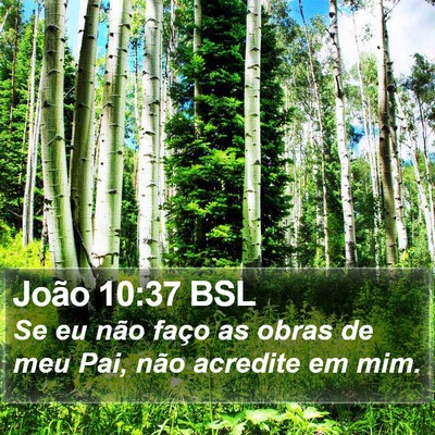 João 10:37 BSL Bible Verse Image