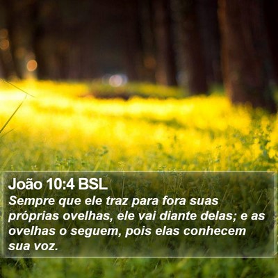João 10:4 BSL Bible Verse Image