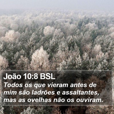 João 10:8 BSL Bible Verse Image
