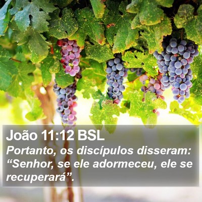 João 11:12 BSL Bible Verse Image