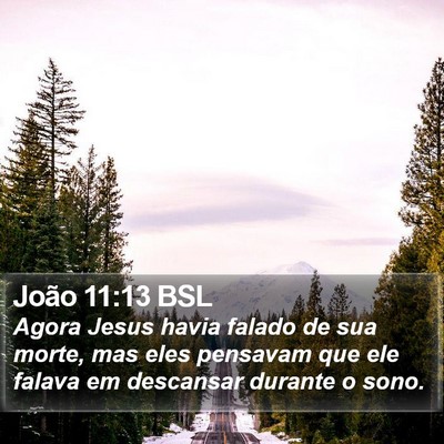 João 11:13 BSL Bible Verse Image