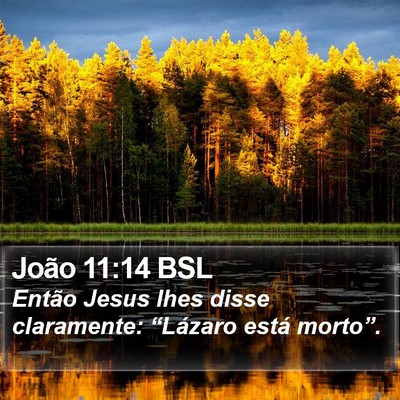 João 11:14 BSL Bible Verse Image