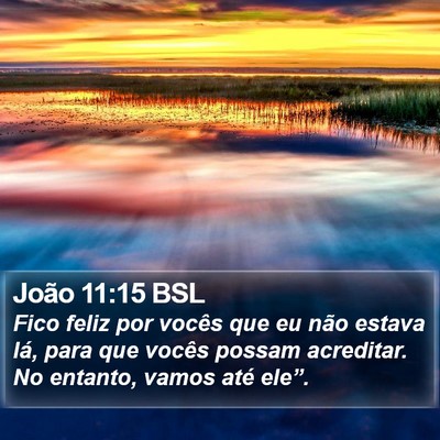 João 11:15 BSL Bible Verse Image