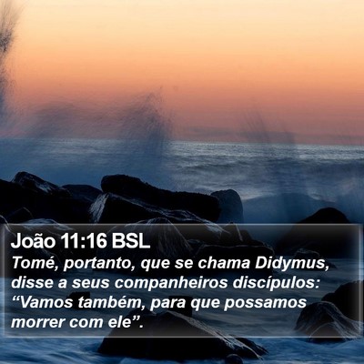 João 11:16 BSL Bible Verse Image