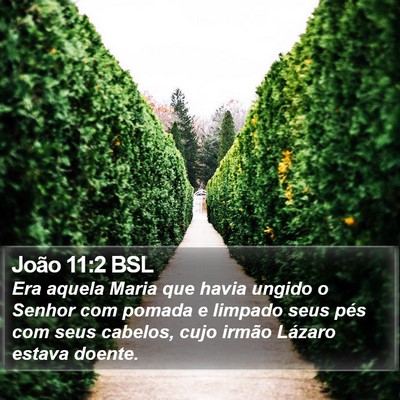 João 11:2 BSL Bible Verse Image