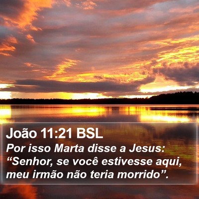 João 11:21 BSL Bible Verse Image