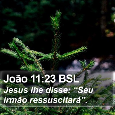 João 11:23 BSL Bible Verse Image