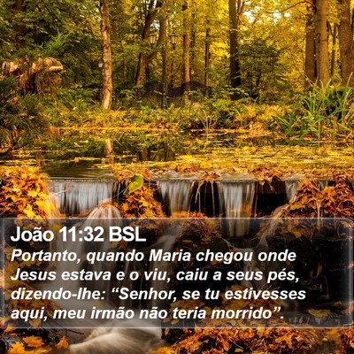 João 11:32 BSL Bible Verse Image