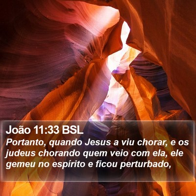 João 11:33 BSL Bible Verse Image