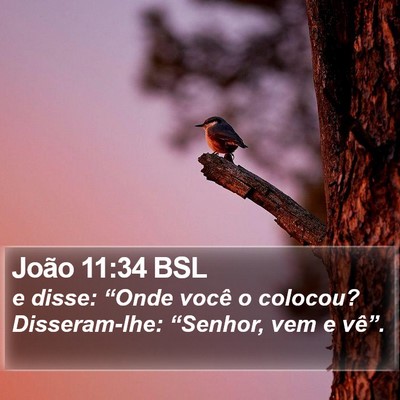 João 11:34 BSL Bible Verse Image