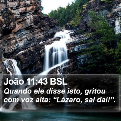João 11:43 BSL Bible Verse Image