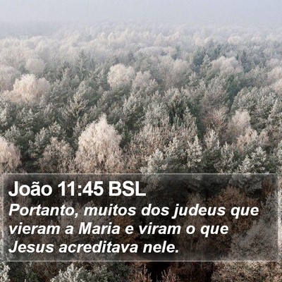 João 11:45 BSL Bible Verse Image