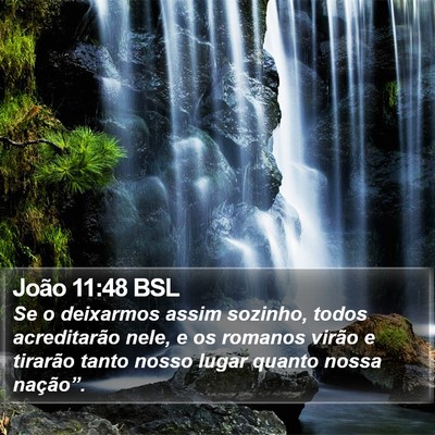João 11:48 BSL Bible Verse Image