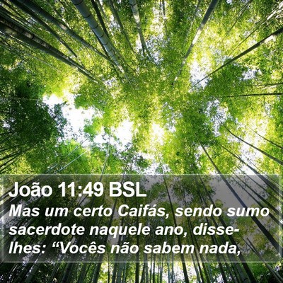 João 11:49 BSL Bible Verse Image