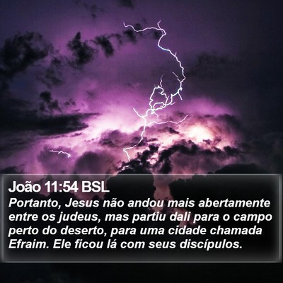 João 11:54 BSL Bible Verse Image